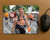 Evenement foto: Nijmeegse Vierdaagse 1097
