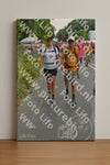 Evenement foto: Nijmeegse Vierdaagse 1097