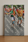 Evenement foto: Nijmeegse Vierdaagse 1097