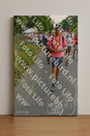 Evenement foto: Nijmeegse Vierdaagse 1097