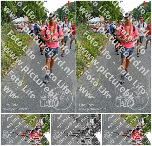 Evenement foto: Nijmeegse Vierdaagse 1097