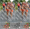 Evenement foto: Nijmeegse Vierdaagse 1097