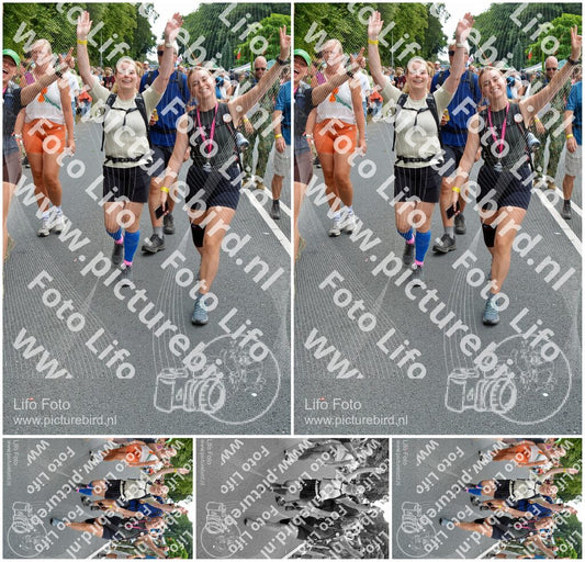 Evenement foto: Nijmeegse Vierdaagse 1097