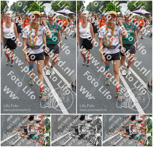 Evenement foto: Nijmeegse Vierdaagse 1097