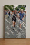Evenement foto: Nijmeegse Vierdaagse 1097