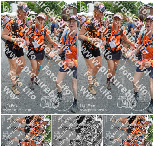 Evenement foto: Nijmeegse Vierdaagse 1097