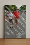 Evenement foto: Nijmeegse Vierdaagse 1097