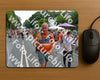 Evenement foto: Nijmeegse Vierdaagse 1097