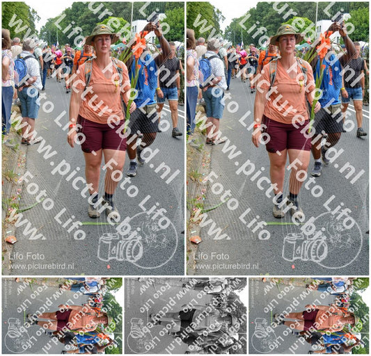 Evenement foto: Nijmeegse Vierdaagse 1097