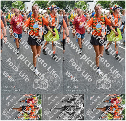 Evenement foto: Nijmeegse Vierdaagse 1097