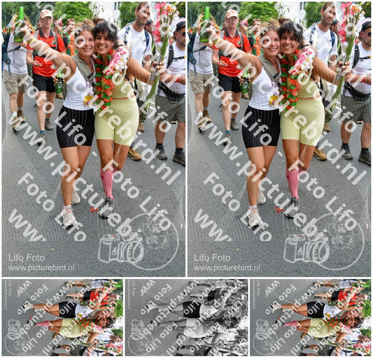 Evenement foto: Nijmeegse Vierdaagse 1097