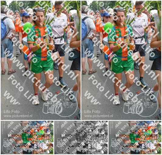 Evenement foto: Nijmeegse Vierdaagse 1097