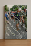 Evenement foto: Nijmeegse Vierdaagse 1097