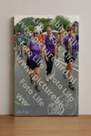 Evenement foto: Nijmeegse Vierdaagse 1097