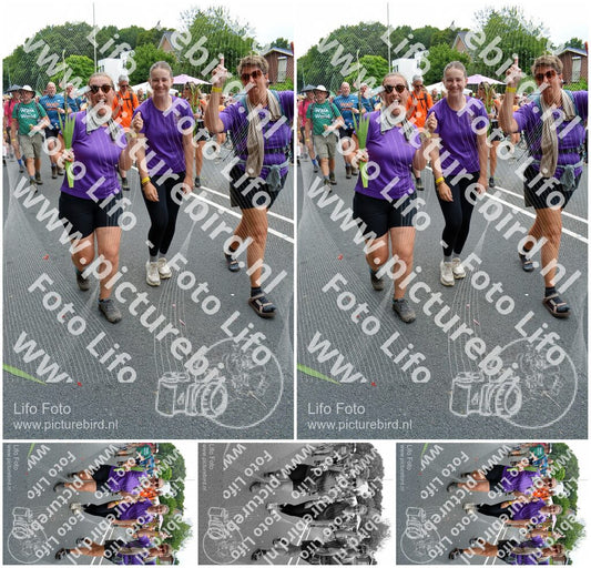 Evenement foto: Nijmeegse Vierdaagse 1097