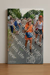 Evenement foto: Nijmeegse Vierdaagse 1097