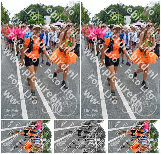 Evenement foto: Nijmeegse Vierdaagse 1096