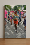 Evenement foto: Nijmeegse Vierdaagse 1096