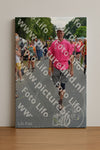 Evenement foto: Nijmeegse Vierdaagse 1096