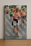 Evenement foto: Nijmeegse Vierdaagse 1096