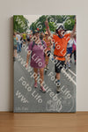 Evenement foto: Nijmeegse Vierdaagse 1096
