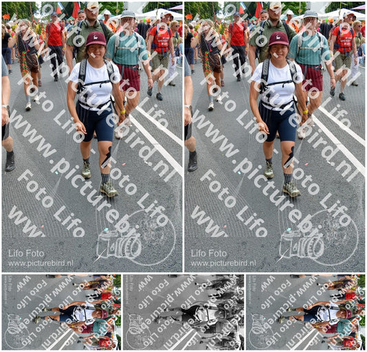 Evenement foto: Nijmeegse Vierdaagse 1096