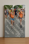 Evenement foto: Nijmeegse Vierdaagse 1096