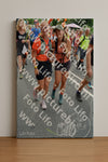 Evenement foto: Nijmeegse Vierdaagse 1096