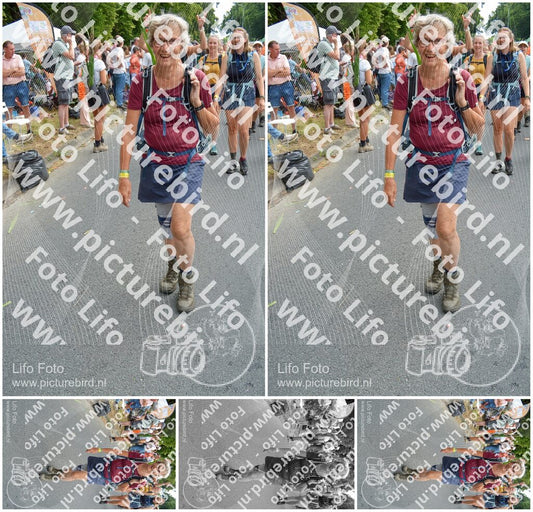 Evenement foto: Nijmeegse Vierdaagse 1096