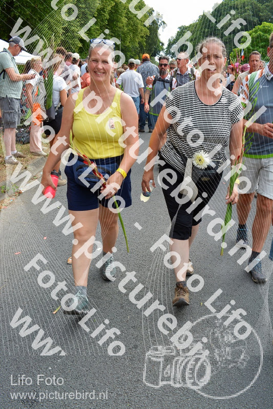 Evenement foto: Nijmeegse Vierdaagse 1096
