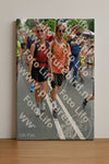 Evenement foto: Nijmeegse Vierdaagse 1096