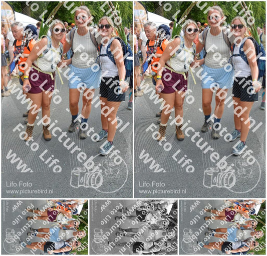Evenement foto: Nijmeegse Vierdaagse 1096