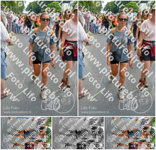 Evenement foto: Nijmeegse Vierdaagse 1096