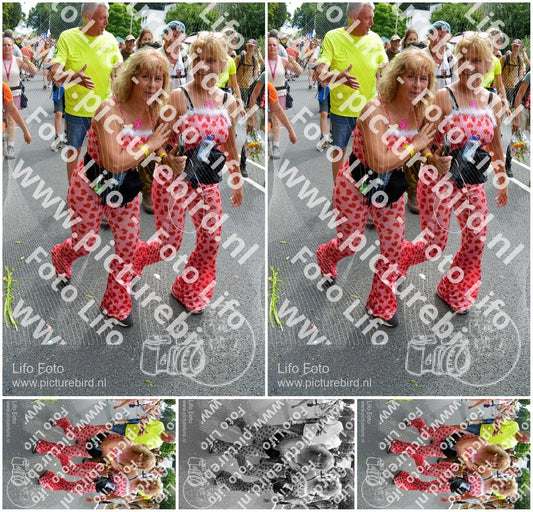 Evenement foto: Nijmeegse Vierdaagse 1096