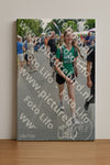 Evenement foto: Nijmeegse Vierdaagse 1096