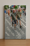 Evenement foto: Nijmeegse Vierdaagse 1096