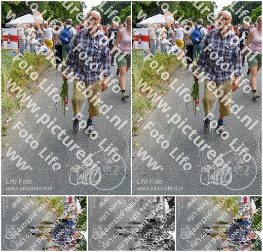 Evenement foto: Nijmeegse Vierdaagse 1096