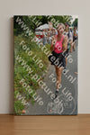 Evenement foto: Nijmeegse Vierdaagse 1096