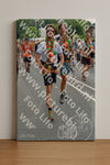 Evenement foto: Nijmeegse Vierdaagse 1096