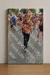 Evenement foto: Nijmeegse Vierdaagse 1096