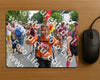 Evenement foto: Nijmeegse Vierdaagse 1096