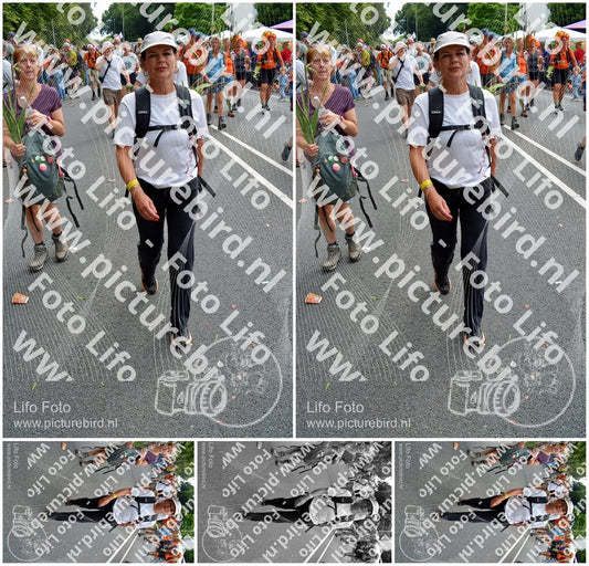 Evenement foto: Nijmeegse Vierdaagse 1096