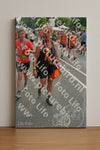 Evenement foto: Nijmeegse Vierdaagse 1096