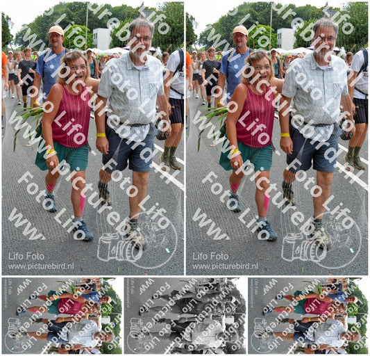 Evenement foto: Nijmeegse Vierdaagse 1096
