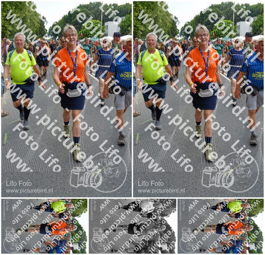 Evenement foto: Nijmeegse Vierdaagse 1096