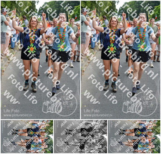 Evenement foto: Nijmeegse Vierdaagse 1096
