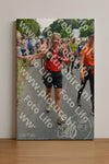 Evenement foto: Nijmeegse Vierdaagse 1096