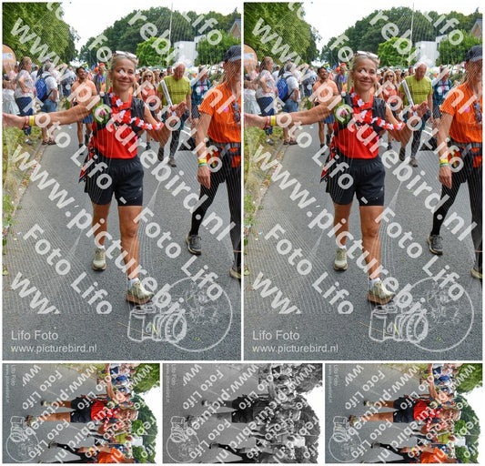 Evenement foto: Nijmeegse Vierdaagse 1096