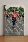 Evenement foto: Nijmeegse Vierdaagse 1096