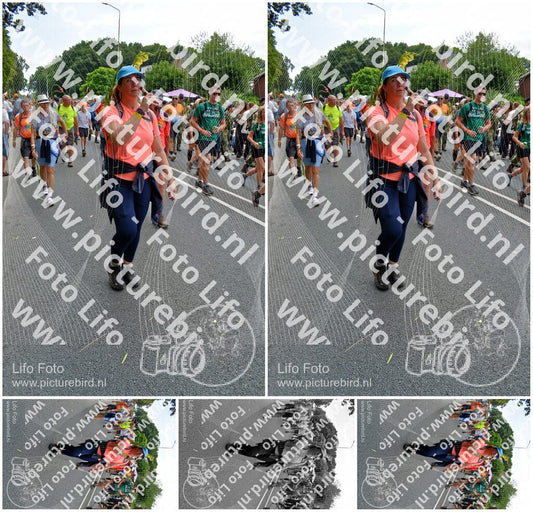 Evenement foto: Nijmeegse Vierdaagse 1096